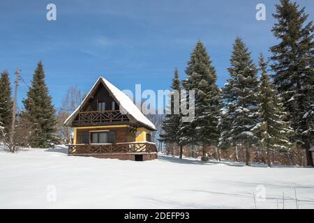 Ein kleines Wochenendhaus auf Zlatibor, Serbien, umgeben von Nadelbäumen in der Natur. Stockfoto