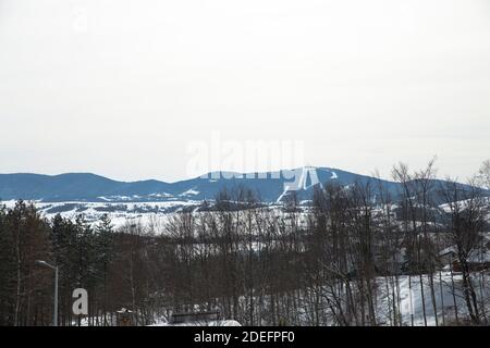 Tornik Skizentrum im Winter in der Nähe Berg Zlatibor, Serbien in der Ferne und Bäume in der Vorderseite. Kopierbereich, Textbereich. Stockfoto