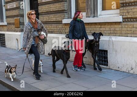 England, London, Zwei Frauen Hund Zu Fuß Stockfoto