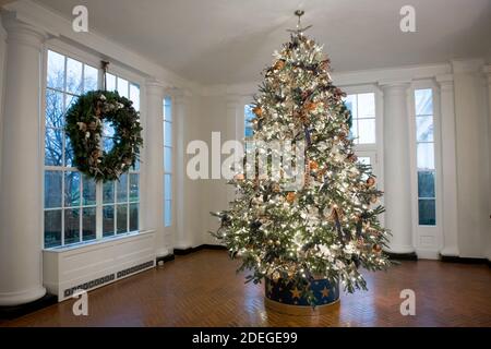 Ein geschmückter Weihnachtsbaum wird im Ostflügel während der Pressevorschau der Weihnachtsdekorationen 2020 im Weißen Haus in Washington, DC am Montag, 30. November 2020, ausgestellt. Das diesjährige Thema ist Amerika die schöne und es gibt 106 Kränze, 62 Weihnachtsbäume, mehr als 1,200 Meter Girlande, mehr als 3,200 Meter Lichterstränge, mehr als 17,000 gebunden Bögen und mehr als 150 Sorten von Laub und Blumen.Kredit: Rod Lampey / CNP - Nutzung weltweit Stockfoto