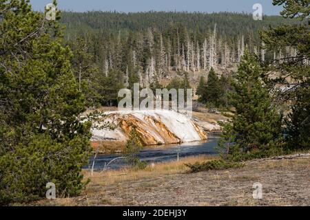 Der Firehole River fließt durch das Upper Geyser Basin des Yellowstone National Park in Wyoming, USA. Thermophile Mikroben machen bunte Matten Stockfoto