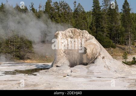 Giant Geyser hat einen Sinterkegel 12 Meter hoch, aber seine Eruptionen sind sehr unregelmäßig. Upper Geyser Basin, Yellowstone National Park, Wyoming, USA. Stockfoto