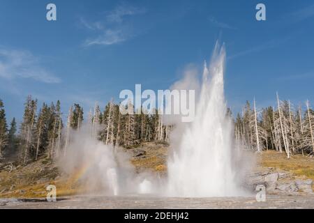 Grand Geyser mit Vent Geyser auf der linken Seite und Turban Geyser, Mitte, im Upper Geyser Basin, Yellowstone National Park, Wyoming, USA. Stockfoto