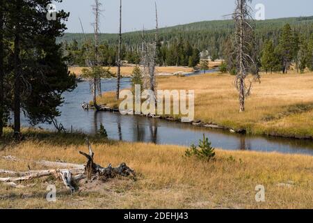 Der Firehole River fließt durch das Upper Geyser Basin des Yellowstone National Park in Wyoming, USA. Stockfoto