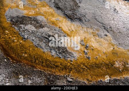 Bunte thermophile mikrobielle Matte im Abfluss von spasmodischen Geysir. Upper Geyser Basin, Yellowstone National Park, Wyoming, USA. Stockfoto