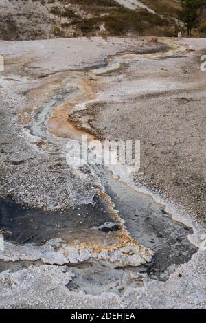 Travertin entlang des Abflusses der Blue Star Spring, einer ruhigen clearwater heißen Quelle im Upper Geyser Basin, Yellowstone National Park in Wyoming, USA Stockfoto