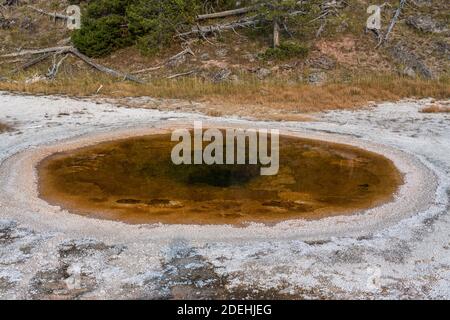 Wave Spring ist eine ruhige clearwater heiße Quelle im Upper Geyser Basin, Yellowstone National Park, Wyoming, USA. Stockfoto