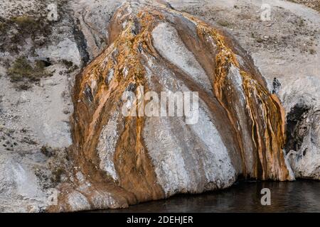 Bunte thermophile Mikrobenmatten im Abfluss von Cascade Geyser am Firehole River im Yellowstone National Park in Wyoming, USA. Stockfoto
