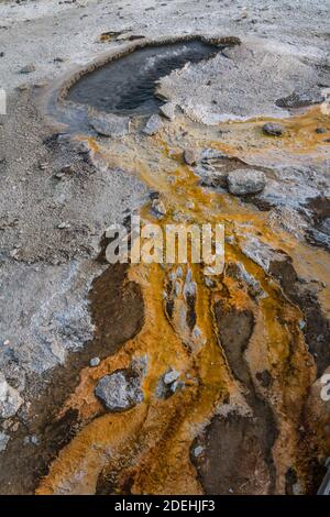 Ear Spring mit seinem farbenfrohen, thermophilen Mikrobenmatten-Abfluss im Upper Geyser Basin im Yellowstone National Park, Wyoming, USA. Stockfoto