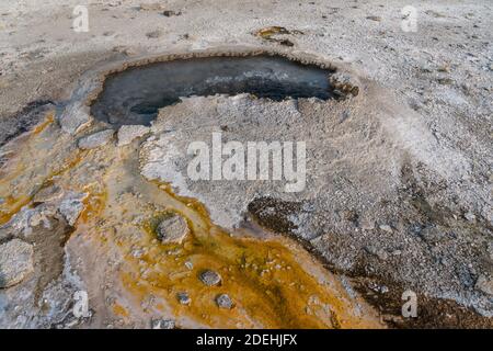 Ear Spring mit seinem farbenfrohen, thermophilen Mikrobenmatten-Abfluss im Upper Geyser Basin im Yellowstone National Park, Wyoming, USA. Stockfoto