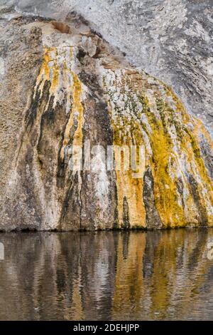 Heißes Wasser aus der heißen Quelle des Schornsteinkegel fließt über Bunte thermophile Mikrobenmatten auf dem Weg ins Feuerloch Fluss im Yellowstone National Stockfoto