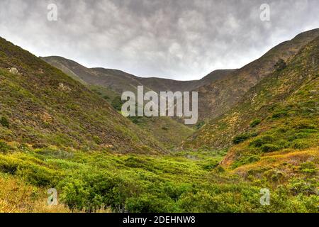 Blick auf die felsige Pazifikküste vom Garrapata State Park, Kalifornien. Stockfoto