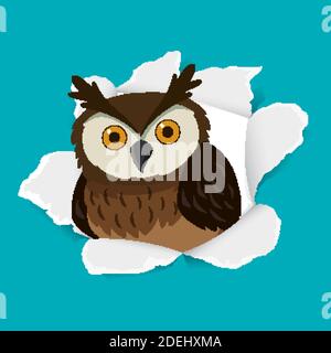 Hintergrund Vorlage Design mit Wildkauz auf blauem Papier Illustration Stock Vektor