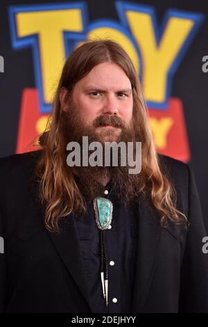 Chris Stapleton nimmt an der Premiere von Disney und Pixars 'Toy Story 4' am 11. Juni 2019 in Los Angeles, CA, USA Teil. Lionel Hahn/ABACAPRESS.COM Stockfoto