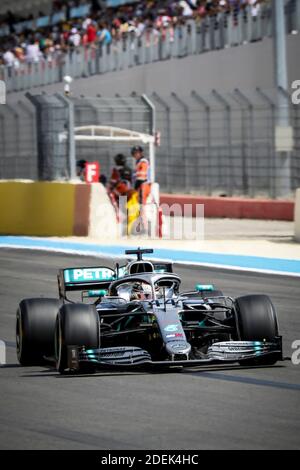 Sebastian Vettel (Scuderia Ferrari) fährt während des Grand Prix de France 2019, Le Castellet, Frankreich, am 23. Juni 2019. Foto von Marco Piovanotto/ABACAPRESS.COM Stockfoto