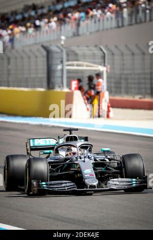 Sebastian Vettel (Scuderia Ferrari) fährt während des Grand Prix de France 2019, Le Castellet, Frankreich, am 23. Juni 2019. Foto von Marco Piovanotto/ABACAPRESS.COM Stockfoto