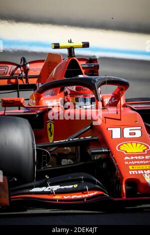 Charles Leclec (Scuderia Ferrari) fährt während des Grand Prix de France 2019, Le Castellet, Frankreich, am 23. Juni 2019. Foto von Marco Piovanotto/ABACAPRESS.COM Stockfoto