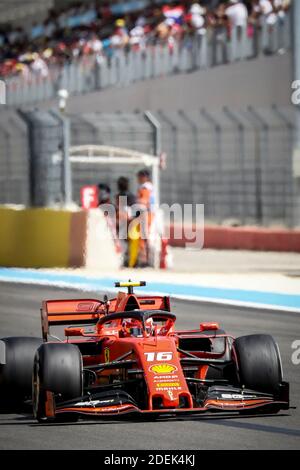 Charles Leclec (Scuderia Ferrari) fährt während des Grand Prix de France 2019, Le Castellet, Frankreich, am 23. Juni 2019. Foto von Marco Piovanotto/ABACAPRESS.COM Stockfoto