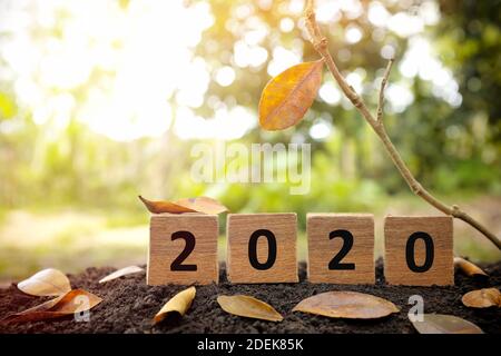 Auf Wiedersehen, Abschied, Abschluss, Ende und Jahresende 2020 Konzept. Ein Baum Zweig mit einem einzigen verbleibenden letzten Blatt hängend neben einem 2020 Jahr in Holzblöcken Stockfoto