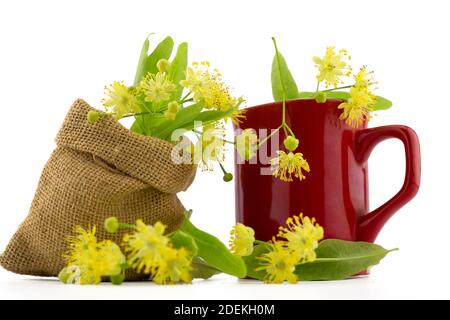 Rote Tasse und kleine hessische Tüte mit frisch gepflückten gelben Lindenblüten und Blättern, auch tilia und Limette genannt, für die Herstellung eines heilenden Tisans oder Tees Stockfoto