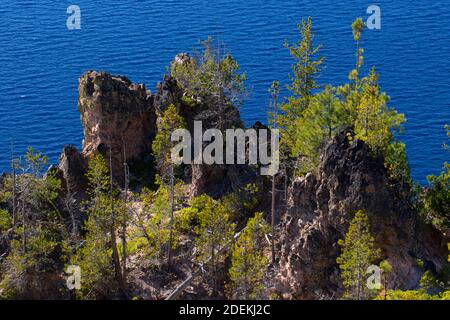 Caldera Slope, Crater Lake National Park, Volcano Legacy National Scenic Byway, Oregon Stockfoto