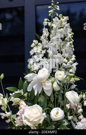 Beeindruckendes floristisches Bouquet von weißen Rosen und Delphinium - grün Drehen Stockfoto