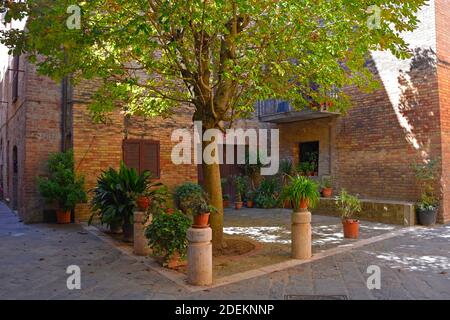 Eine ruhige Wohnstraße im historischen mittelalterlichen Dorf Buonconvento, Provinz Siena, Toskana, Italien Stockfoto