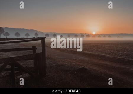 Die Sonne geht über einem Feld auf Stockfoto