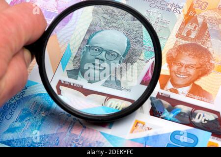 Eastern Caribbean Money - Dollar in einer Lupe Stockfoto