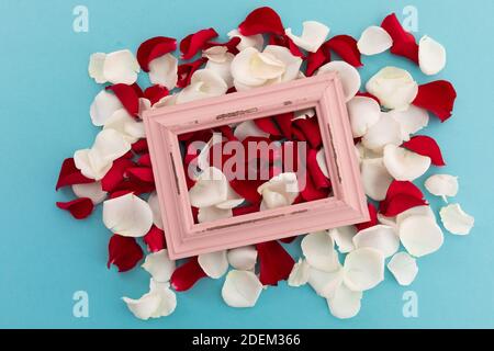 Weiße und rote Rosenblätter mit rosa rustikalem Rahmen auf Blauer Hintergrund Stockfoto