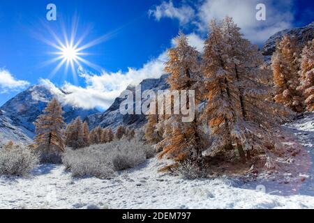 Geographie / Reisen, Schweiz, Wallis, Mt. Collon, 3637 m, Arolatal (Arolla Valley), zusätzliche-Rechte-Freigabe-Info-nicht-verfügbar Stockfoto