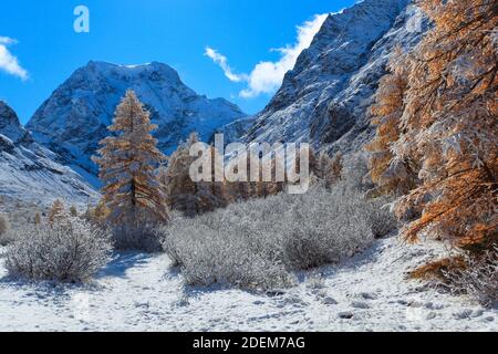 Geographie / Reisen, Schweiz, Wallis, Mt. Collon, 3637 m, Arolatal (Arolla Valley), zusätzliche-Rechte-Freigabe-Info-nicht-verfügbar Stockfoto