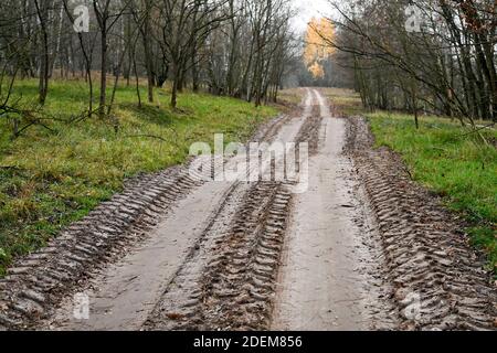 01. Dezember 2020, Brandenburg, Elstal: Spuren eines zivilen Panzers in Sielmanns Naturlandschaft Döberitzer Heide. Hier werden Spuren für Urkrebse verdichtet, um Pfützen für die Tiere zu schaffen. Das Gewicht des Fahrzeugs und die Bewegung über Ketten schaffen ideale Lebensbedingungen für die Tiere. Die Dauereier oder Dauerstufen können manchmal Jahrzehnte im Boden ohne Schaden überleben. Die hier vorkommenden urzeitlichen Krebse sind jedoch je nach Region in Deutschland vom Aussterben bedroht oder stark gefährdet. Unter geeigneten Bedingungen werden sie zum Leben erweckt Stockfoto