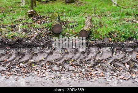 01. Dezember 2020, Brandenburg, Elstal: Spuren eines zivilen Panzers in Sielmanns Naturlandschaft Döberitzer Heide. Hier werden Spuren für Urkrebse verdichtet, um Pfützen für die Tiere zu schaffen. Das Gewicht des Fahrzeugs und die Bewegung über Ketten schaffen ideale Lebensbedingungen für die Tiere. Die Dauereier oder Dauerstufen können manchmal Jahrzehnte im Boden ohne Schaden überleben. Die hier vorkommenden urzeitlichen Krebse sind jedoch je nach Region in Deutschland vom Aussterben bedroht oder stark gefährdet. Unter geeigneten Bedingungen werden sie zum Leben erweckt Stockfoto