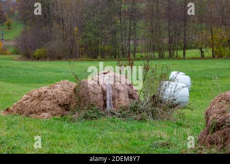 Alte verfaulende Heuballen im Vordergrund und neues frisches Heu im Hintergrund in Plastik gerollt, Konzept der Verschwendung natürlicher Ressourcen Stockfoto