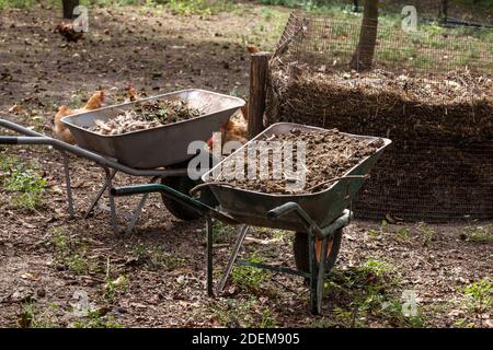 Schubkarren, aus Metall hergestellt, voll von Gülle in einer landwirtschaftlichen ländlichen Umgebung, für die Düngung von Feldern und Gärten verwendet. Bild von Schubkarren voller ma Stockfoto