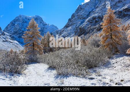 Geographie / Reisen, Schweiz, Wallis, Mt. Collon, 3637 m, Arolatal (Arolla Valley), zusätzliche-Rechte-Freigabe-Info-nicht-verfügbar Stockfoto