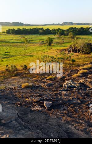 Vertikale Ansicht von bunten Rock Formation im schönen Abendlicht in der Australischen Kakadu National Park. Stockfoto