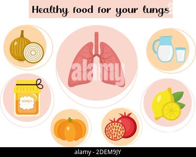 Gesunde Ernährung für die Lunge. Konzept von Lebensmitteln und Vitaminen, Medizin, Prävention von Atemwegserkrankungen. Vektorgrafik Stock Vektor