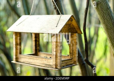 Feeder House für Vögel und Eichhörnchen hängt am Baum im Stadtpark auf unscharfem natürlichen Hintergrund Stockfoto