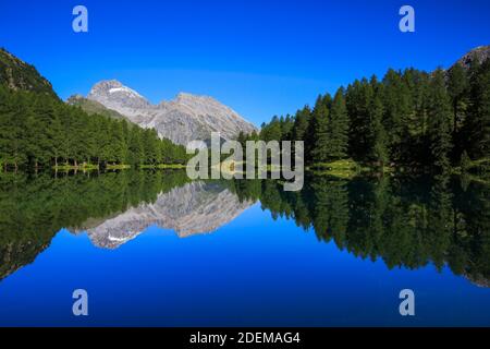 Geographie / Reisen, Schweiz, Lai da Palpuogna, Albula Pass, Graubünden, Additional-Rights-Clearance-Info-not-available Stockfoto