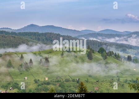 Neblige Morgenlandschaft über dem Dorf Bucovina. Grüne, filde Wiesen, bedeckt mit Nebel und Tannenwaldbergen im Hintergrund und klarem Himmel Stockfoto