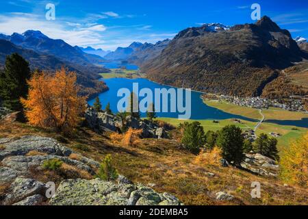 Geographie / Reisen, Schweiz, Silvaplanersee und Silvaplanersee, Oberengadin, Gris, Zusatz-Rechteklärung-Info-Not-available Stockfoto