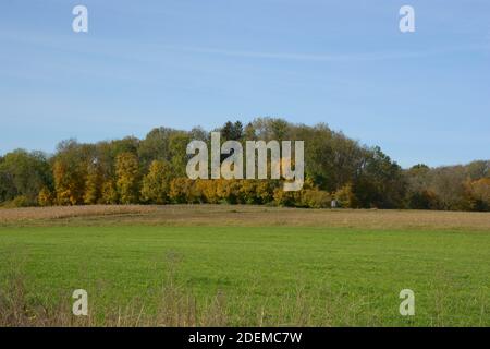 Herbstliche Landschaft mit idyllischer Hochsitz und Feld und Wald Vor blauem Himmel Hintergrund Stockfoto