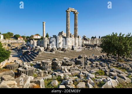 Ruinen des alten Didyma in Didim, Aydin Provinz, Türkei. Apollotempel. Stockfoto