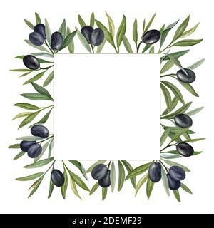 Schwarze Oliven Aquarell quadratischen Rahmen Stockfoto