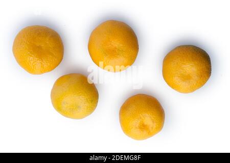 Gruppe der Tangerinen auf weißem Hintergrund isoliert. Flatley Draufsicht. Stockfoto
