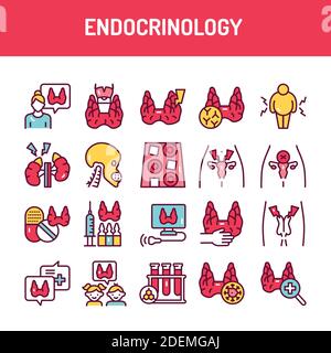 Symbole für die Endokrinologie-Farblinie festgelegt. Isoliertes Vektorelement. Stock Vektor