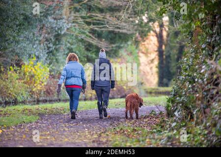 Rückansicht von zwei Frauen, die an einem kalten Morgen zu Beginn des Winters an einem britischen Kanal in Worcestershire isoliert waren und mit ihrem Hund spazieren gingen. Stockfoto