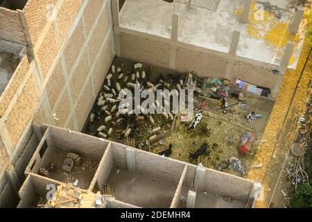 LUXOR UND SEINE VORORTE VON EINEM HEISSLUFTBALLON AUS GESEHEN Stockfoto